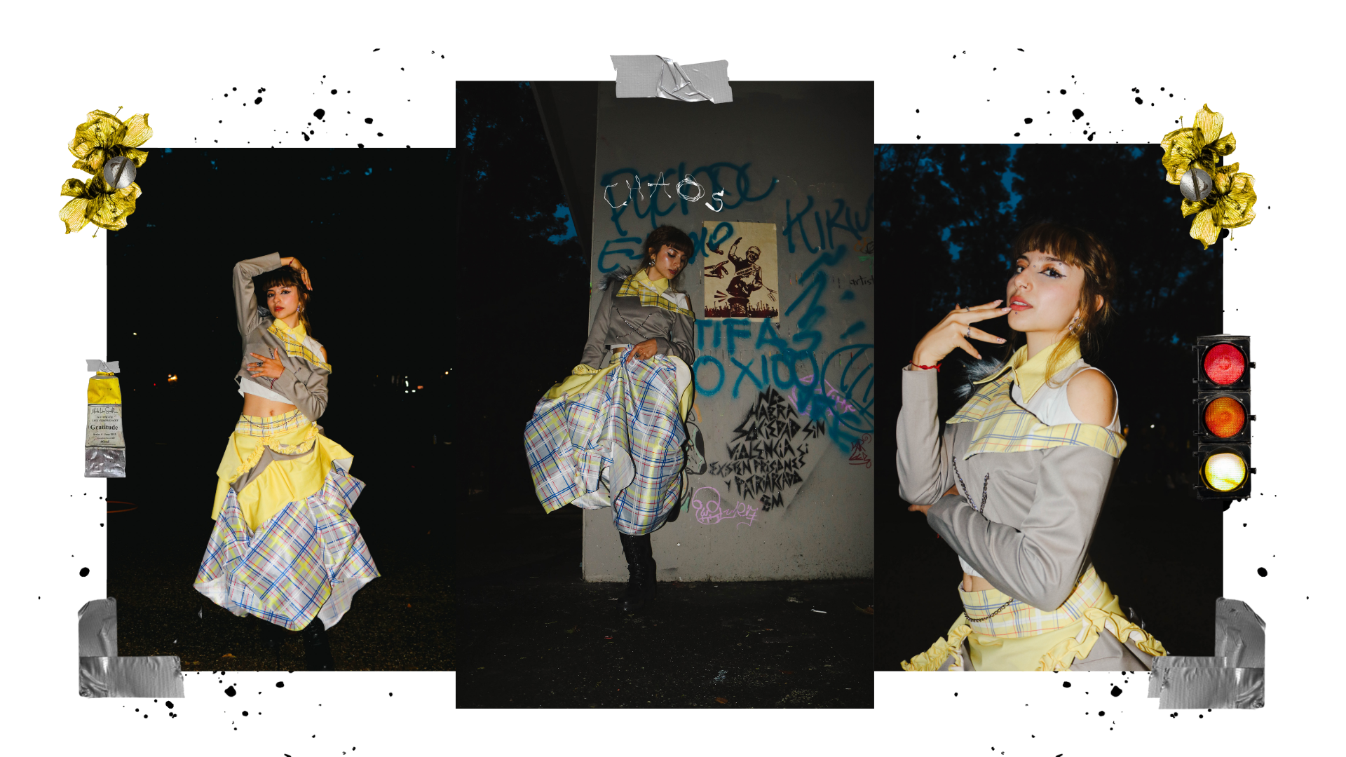 Manifiesto Gabriela Barrios (60)