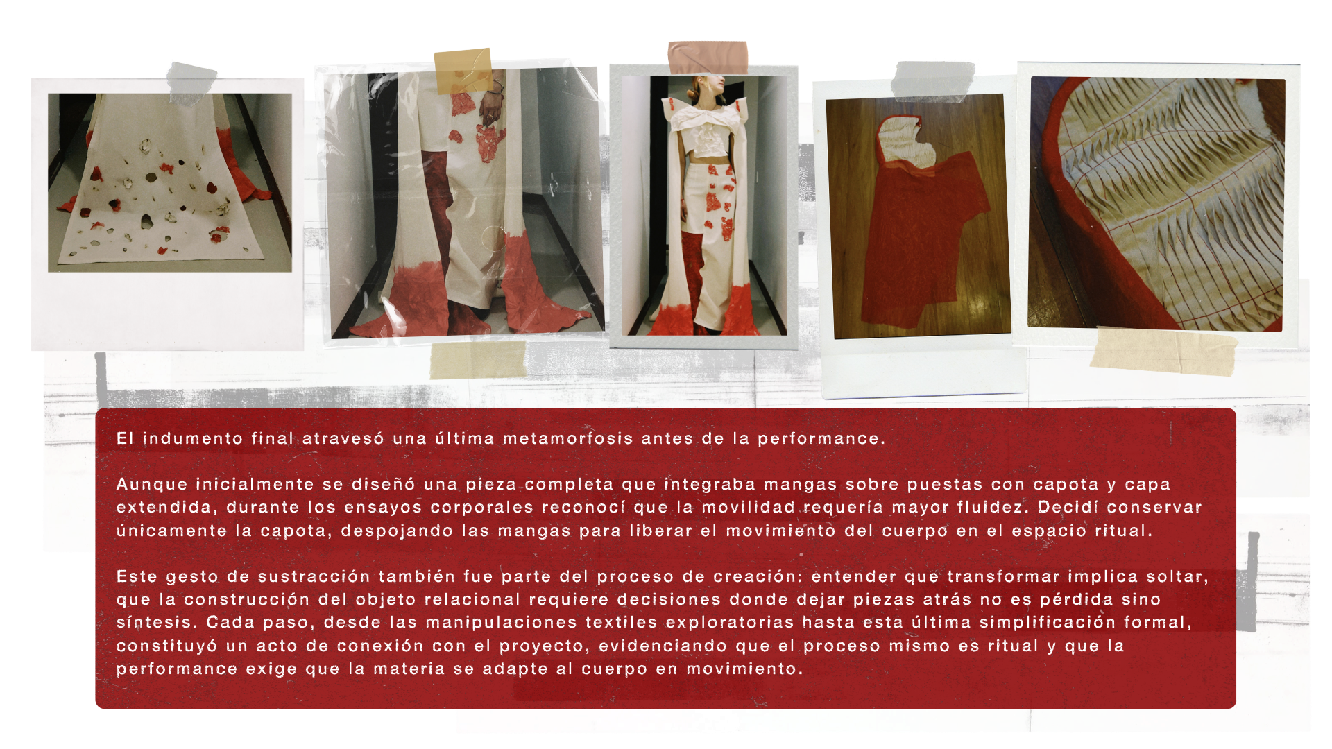 Manifiesto Gabriela Barrios...